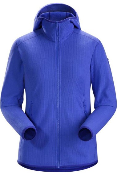 Arc'teryx Delta LT Hoody (D) Iolite Arc'teryx Delta LT Hoody (D) Iolite