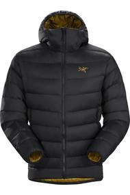 1-thorium-ar-hoody-24k-black.jpg